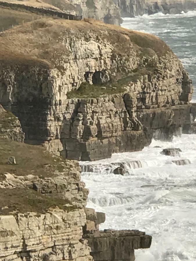 The Wing -Near To The Beaches And Bournemouth University المظهر الخارجي الصورة